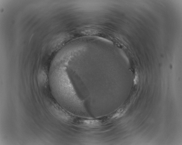 X0000065980371200603101428