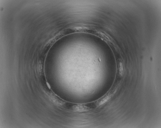 X0000065980372200603101428