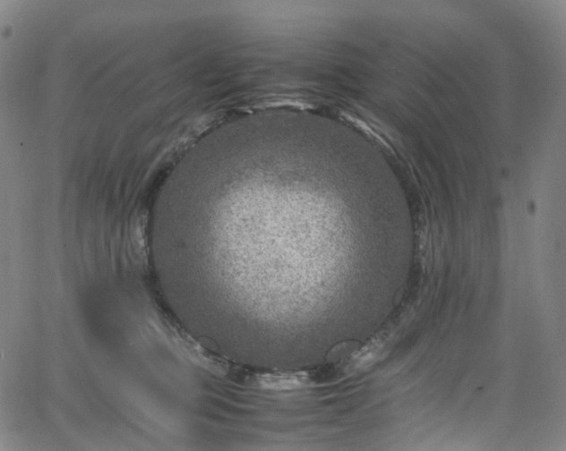 X0000065980373200603101428