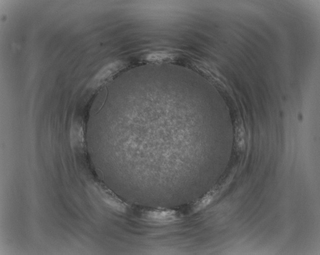 X0000065980375200603101428