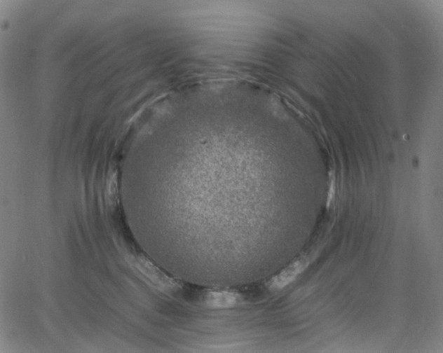 X0000065980376200603101428