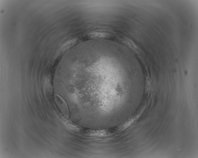 X0000065980377200603101428