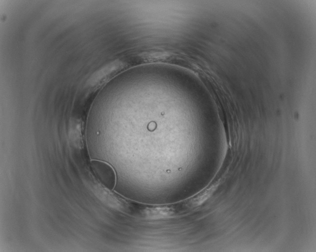 X0000065980378200603101428