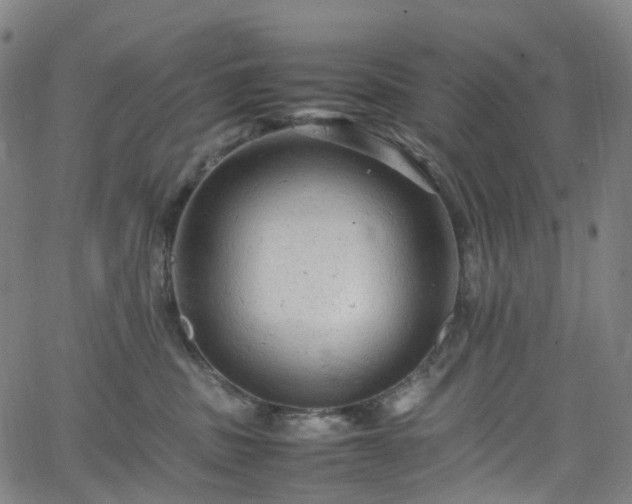 X0000065980379200603101428