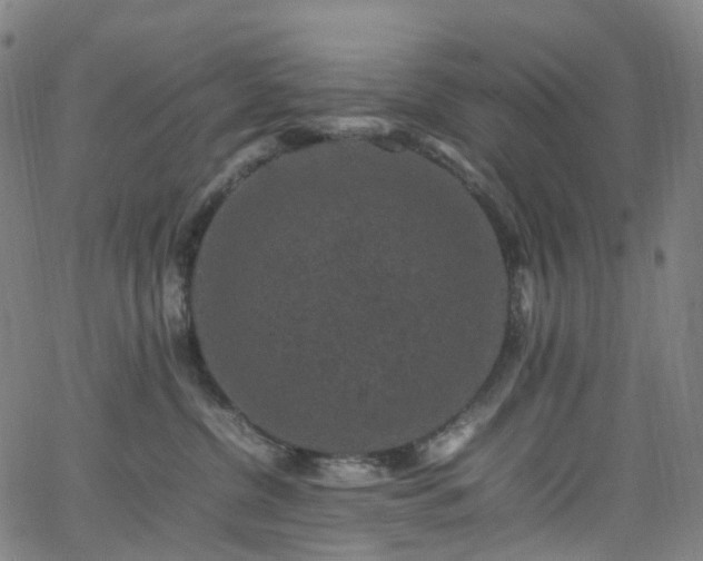 X0000065980380200603101428