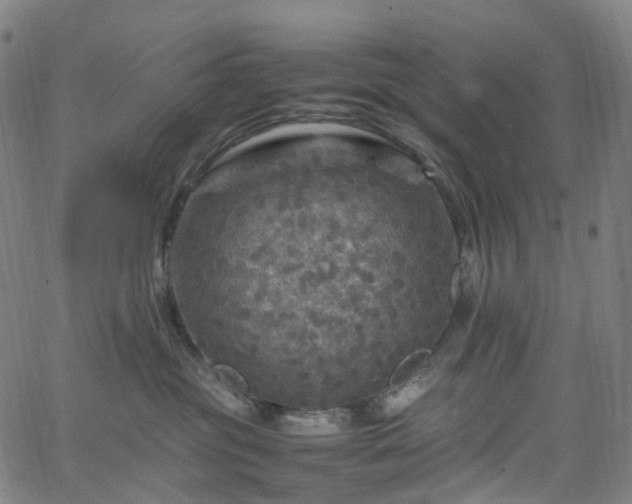 X0000065980381200603101428