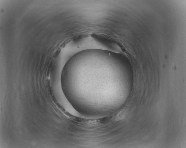 X0000065980384200603101428