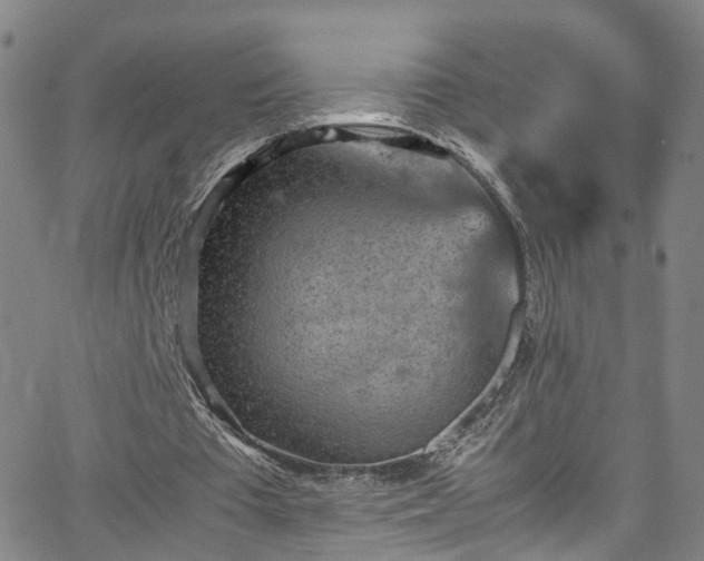 X0000065980385200603101428