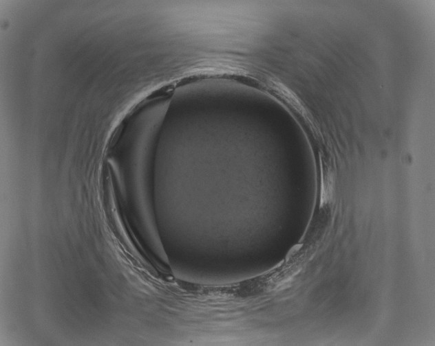 X0000065980387200603101428