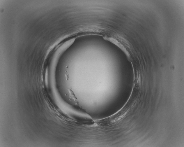 X0000065980388200603101428