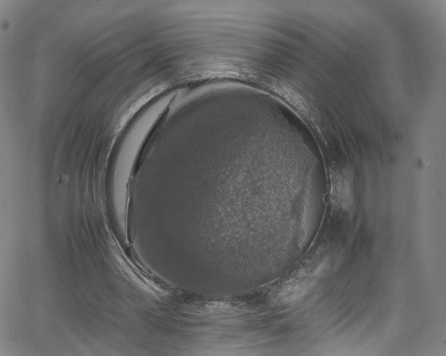 X0000065980390200603101427