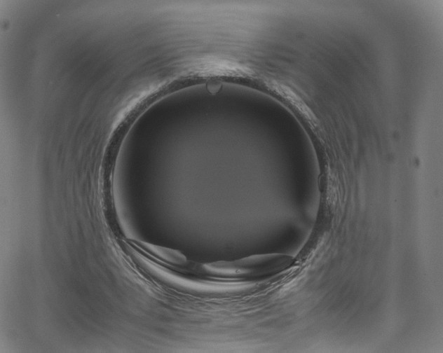 X0000065980391200603101427