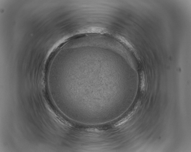 X0000065980392200603101427