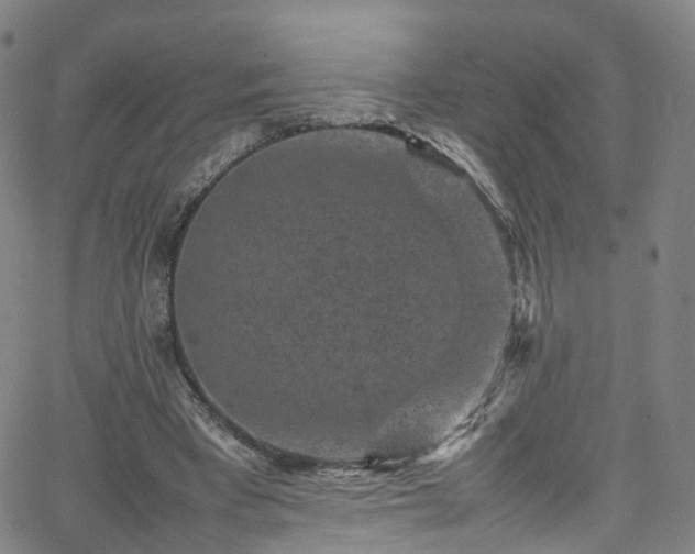 X0000065980393200603101427