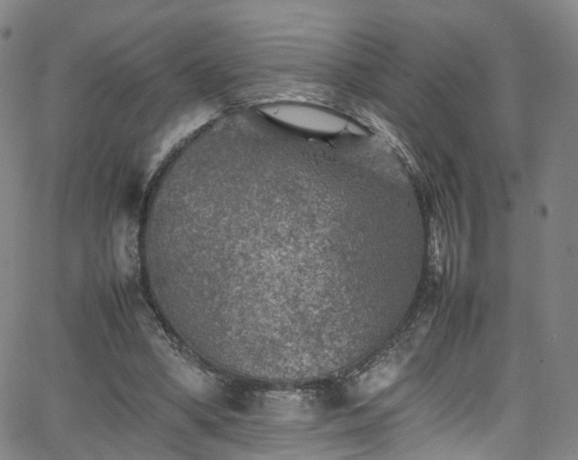 X0000065980394200603101427