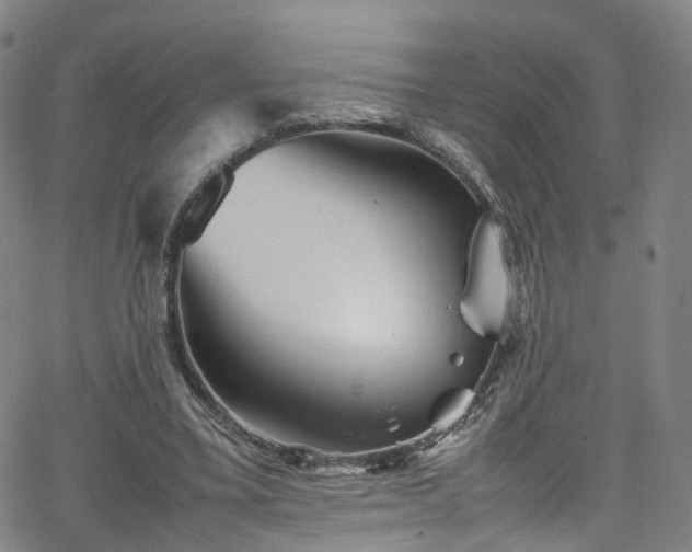 X0000065980395200603101427