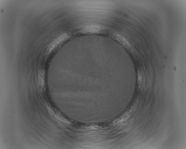 X0000065980396200603101427