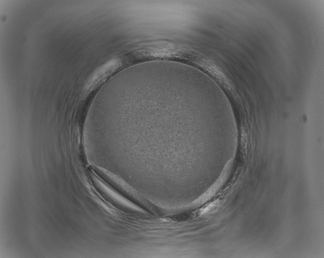 X0000065980397200603101427