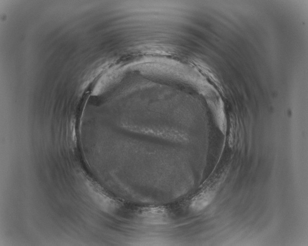 X0000065980398200603101427