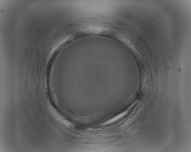 X0000065980399200603101427