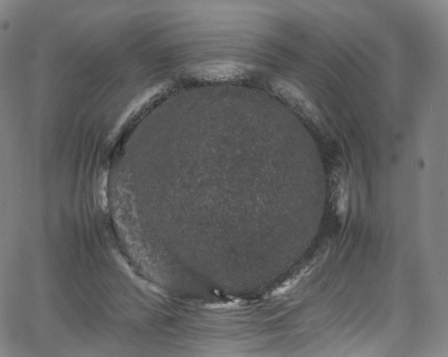 X0000065980400200603101427