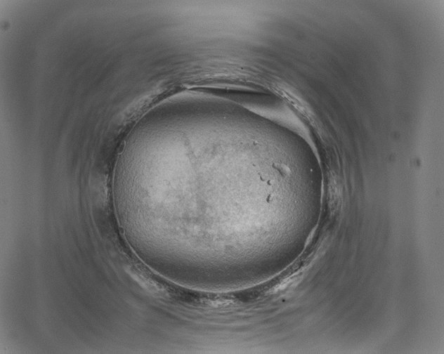 X0000065980401200603101427