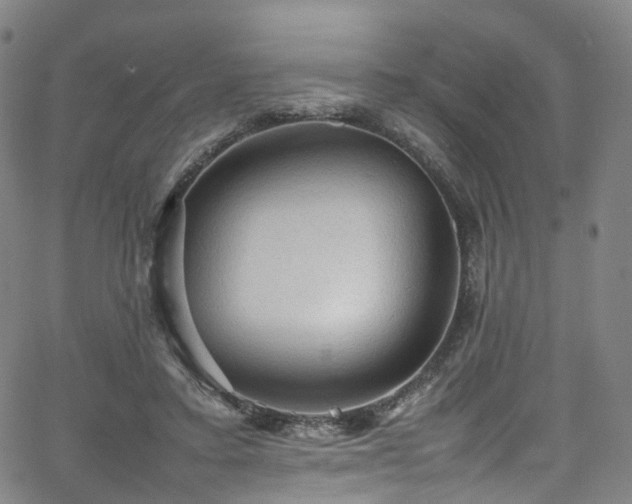 X0000065980403200603101427