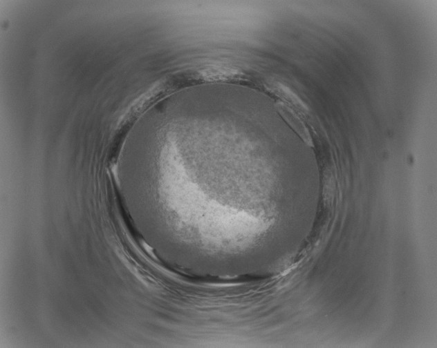 X0000065980405200603101427