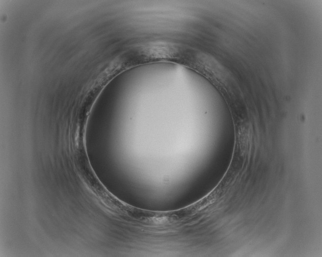 X0000065980406200603101427