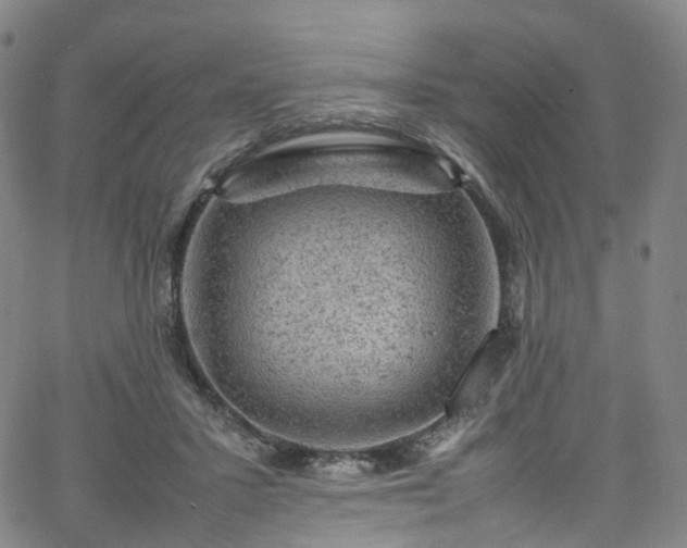 X0000065980407200603101427