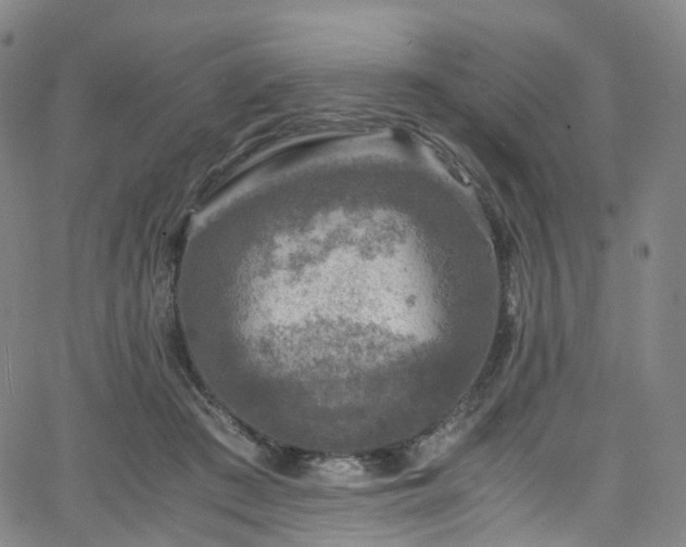 X0000065980409200603101427