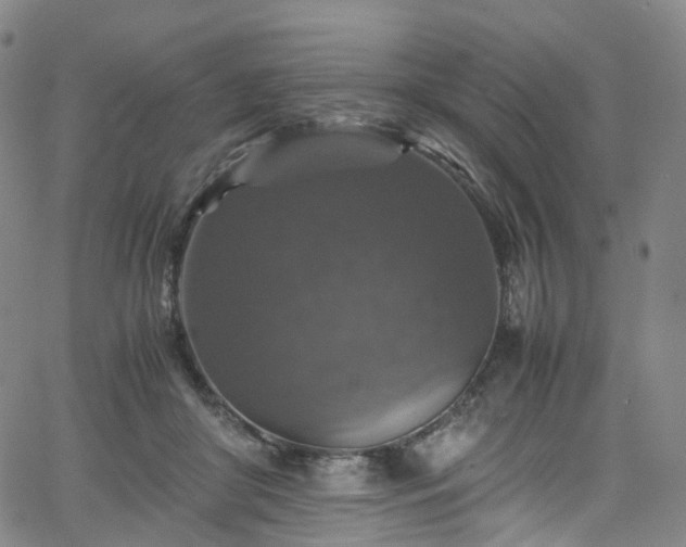 X0000065980410200603101427