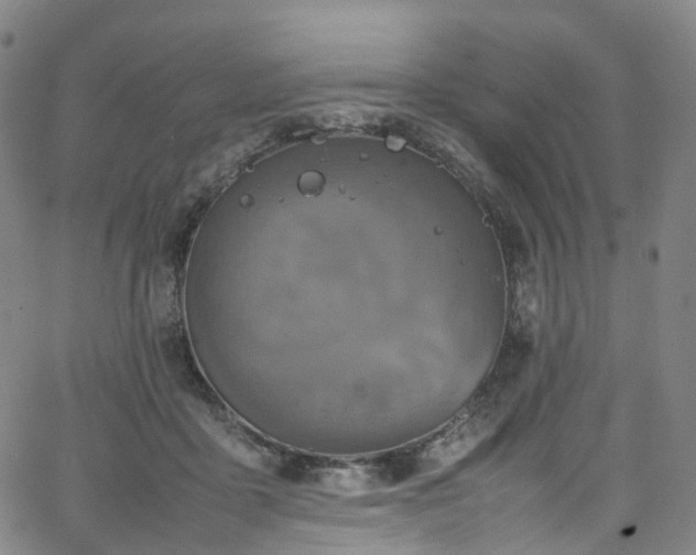 X0000065980411200603101427