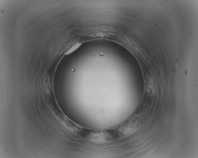 X0000065980414200603101427