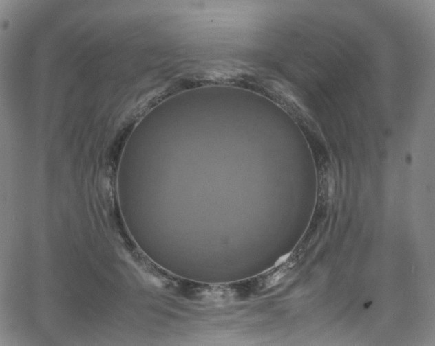 X0000065980415200603101427