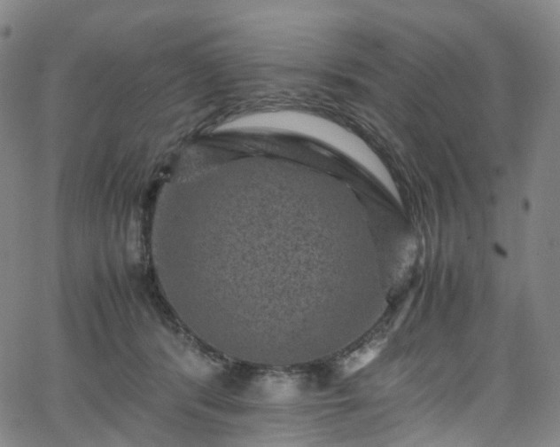 X0000065980416200603101427