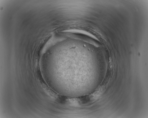 X0000065980417200603101427