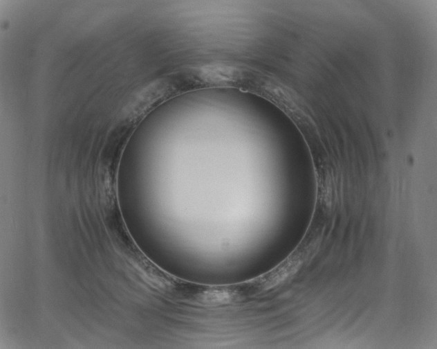 X0000065980418200603101427