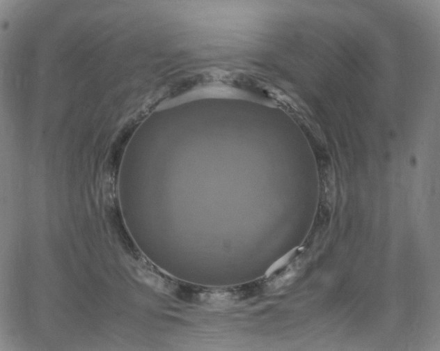 X0000065980419200603101427