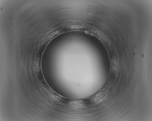 X0000065980422200603101427