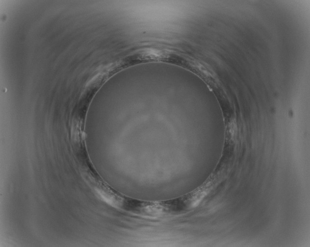 X0000065980423200603101427