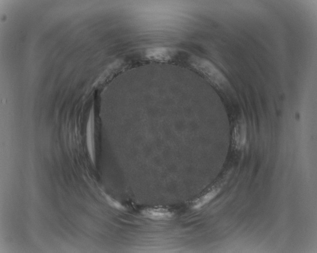 X0000065980424200603101427