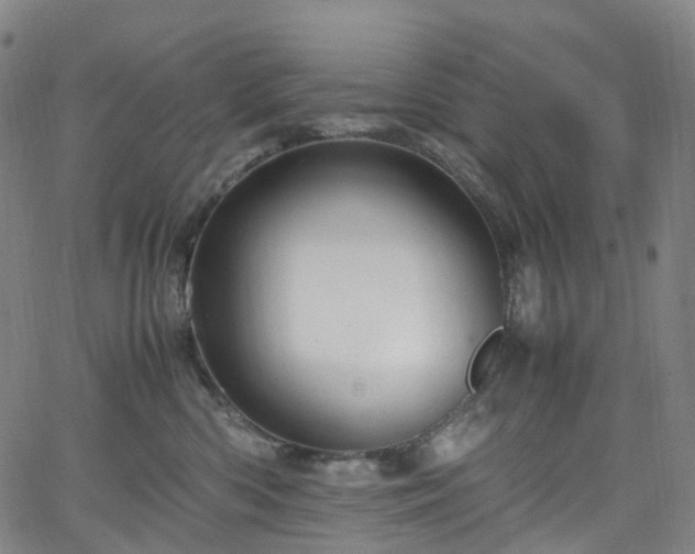 X0000065980426200603101427