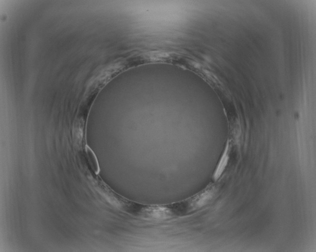 X0000065980427200603101427