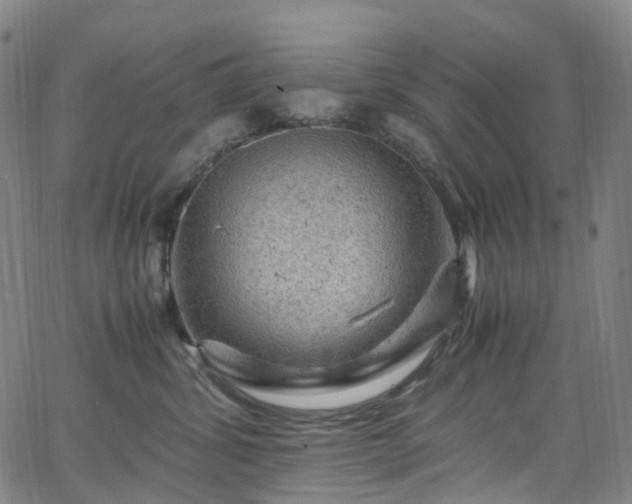 X0000065980428200603101427