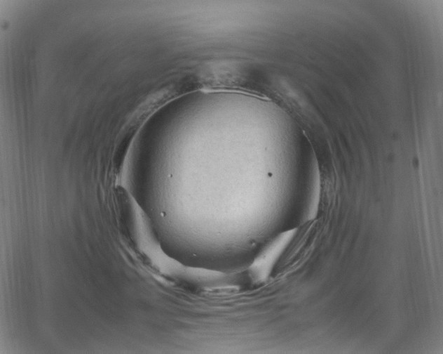 X0000065980429200603101427