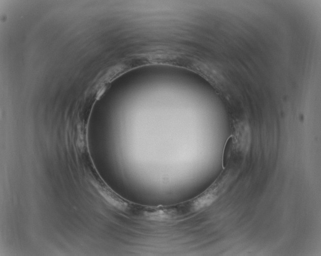 X0000065980430200603101427