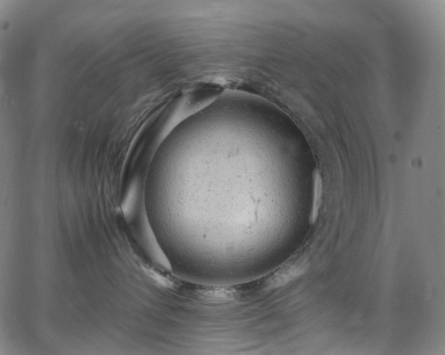 X0000065980432200603101427