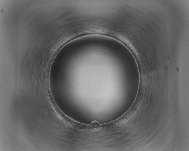 X0000065980433200603101426