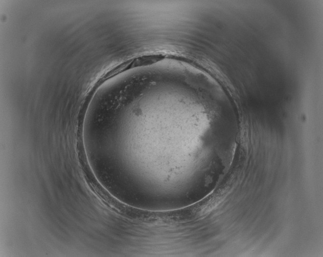 X0000065980434200603101426